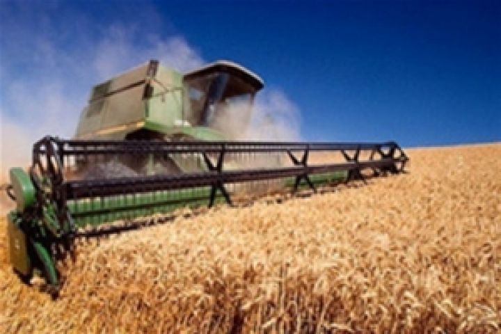 Россия, Казахстан и Украина займут треть рынка зерна