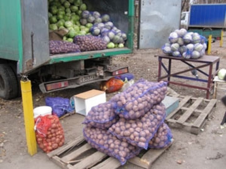 Около половины выращенных в Украине овощей утилизируется