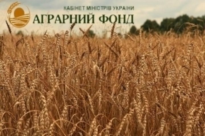 Аграрный фонд Украины заключил контракты на приобретение 1 млн. тонн зерна
