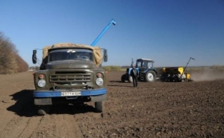 В Украине посеяно 97% яровых зерновых
