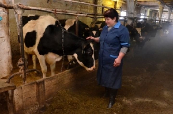 Молоко в личных крестьянских хозяйствах некачественное