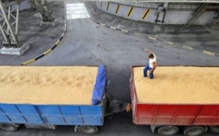 В МинАПК недовольны объемами экспорта зерна