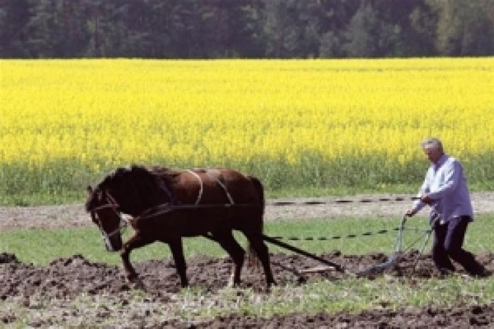 В Украине в сельское хозяйство будут внедрены энергосберегающие технологии