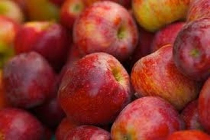 В этом году урожай яблок на Украине превысит миллион тонн