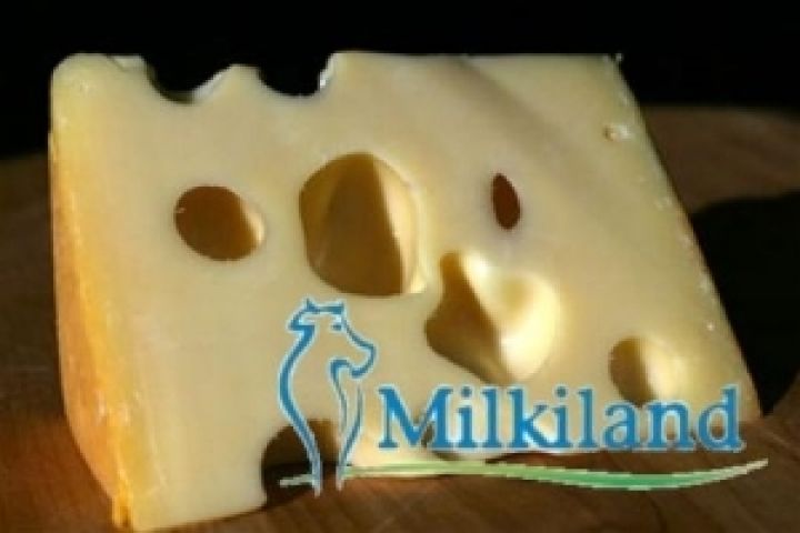 Милкиленд с понедельника возобновляет поставки сыра в Россию
