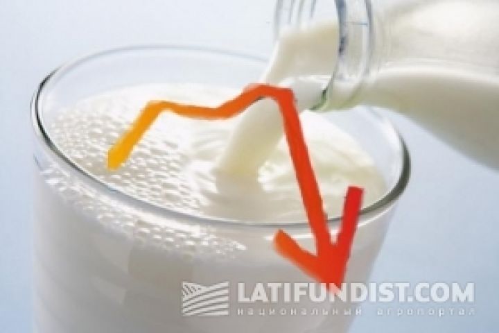 Агрохолдинги перестали зарабатывать на молоке