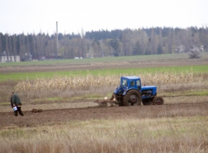 Луганские аграрии засеяли 105,8 тыс. га