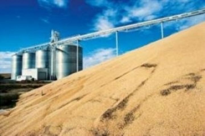 Цены на зерновые и масличные в Украине за прошедшую неделю не изменились