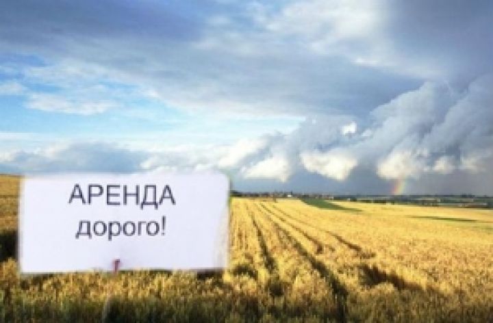 Сегодня украинский парламент будет голосовать за ограничение аренды земли