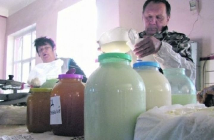 Молоко киснет. Украинский рынок стагнирует из-за сокращения поголовья