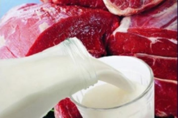 Украинских мясо-молочная продукция вскоре выйдет на рынок ЕС