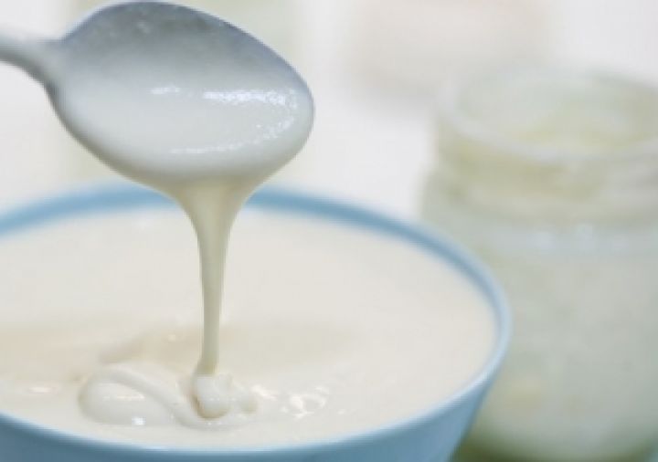 Литва вложит до 30 млн. евро в СП по производству йогуртов в Украине