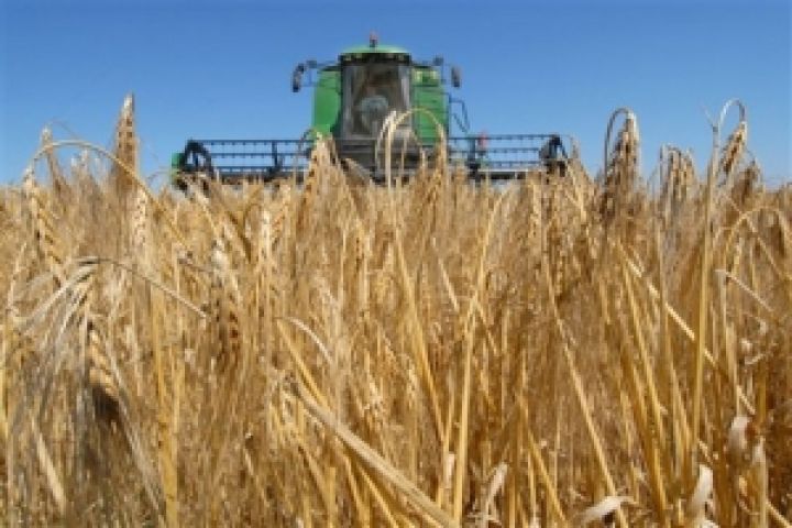 В Украине есть все климатические предпосылки для создания двух урожаев