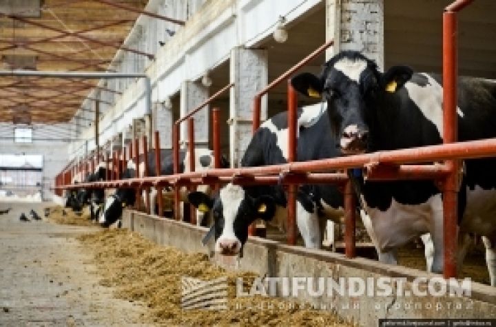 Названы причины снижения производства молока в Украине