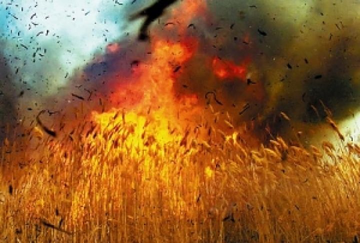 На Харьковщине сгорел элеватор с зерном 