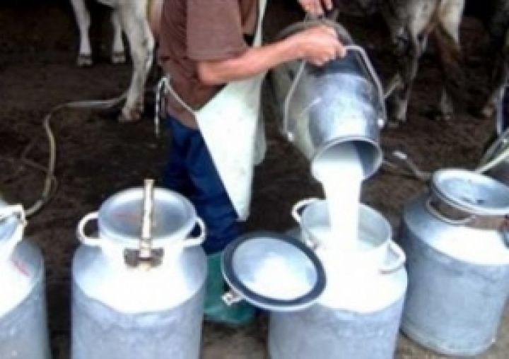 В Днепропетровской области выросли объемы производства молока