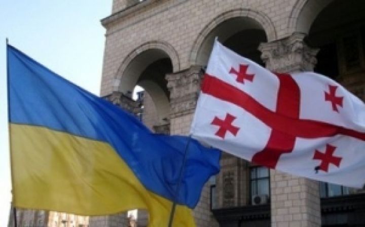 Власти Украины пригласили обрабатывать земли «трудолюбивые руки» жителей Грузии 