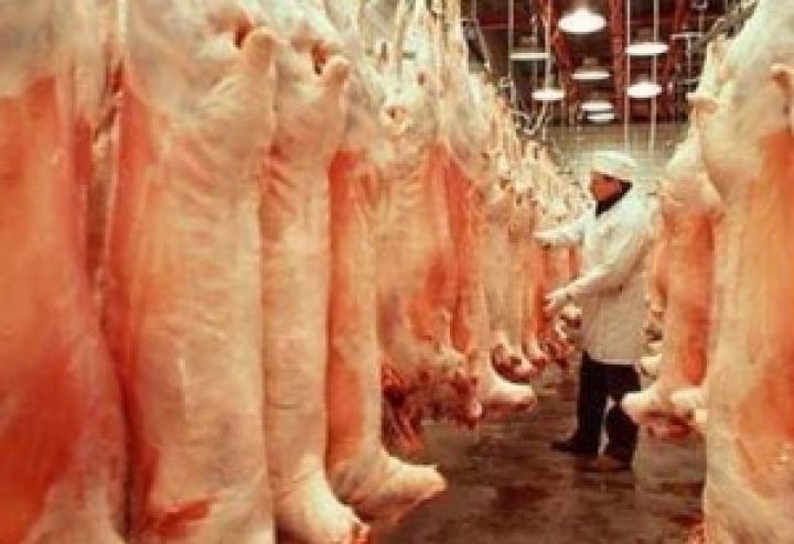 Агрохолдинг Бахмутский Аграрный Союз увеличил реализацию свинины на 21%