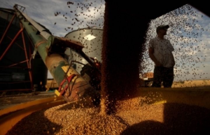 Белорусские аграрии планируют собрать 8,8 млн. тонн зерна в 2012 году