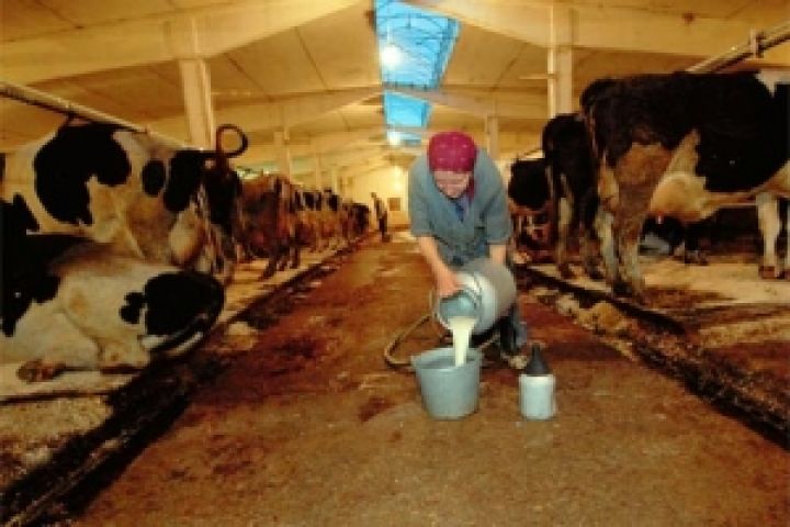 Фермер должен продавать молоко по 5 гривен за литр, чтобы получить прибыль