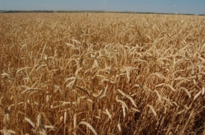 В Украине будет сформирована государственная система сельхозконсультирования