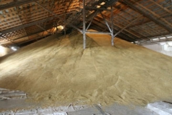 Прием и хранение зерна в Харьковской области могут осуществлять 58 хлебоприемных предприятий