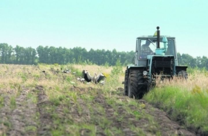 Выпавшие осадки сыграли на руку украинским аграриям 
