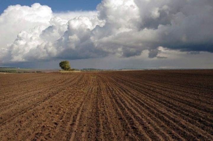 На земельную реформу в Украине выделили всего 5% от предусмотренного