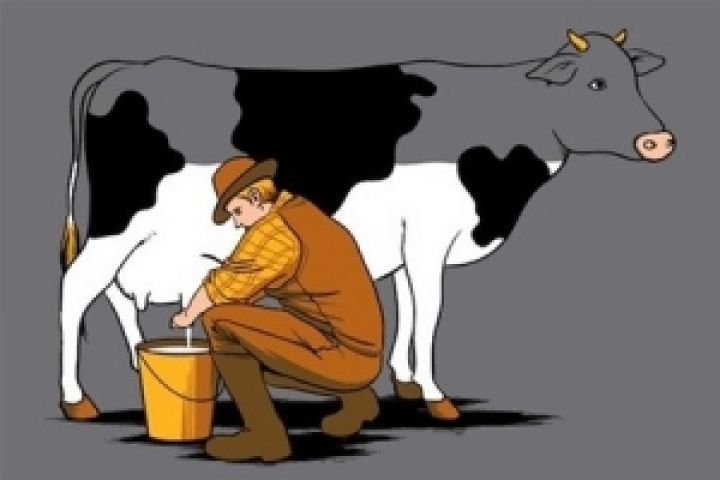 Снижение закупочных цен на молоко в Украине замедлилось на прошедшей неделе