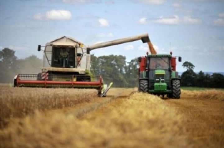Украина в 2012 году может собрать 47,2 млн тонн зерна