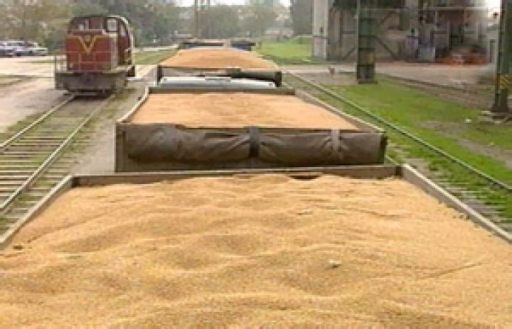 Украина экспортировала 19,7 млн. тонн зерна