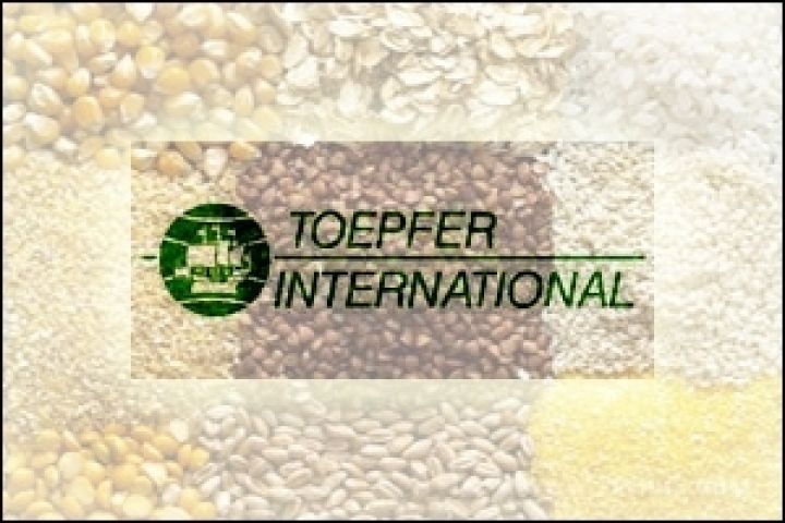 Toepfer прогнозирует снижение производства пшеницы в Германии