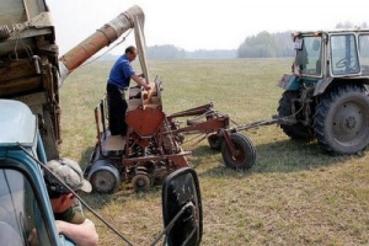 В Украине яровыми зерновыми засеяно 100% площадей