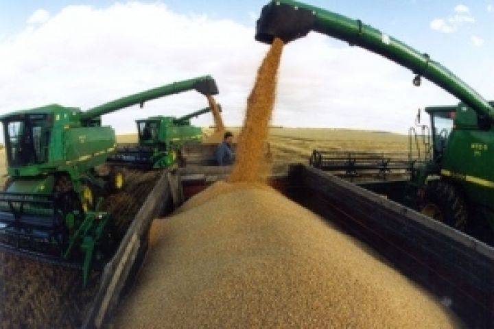 Бангладеш отклонил предложение Украины по поставке пшеницы
