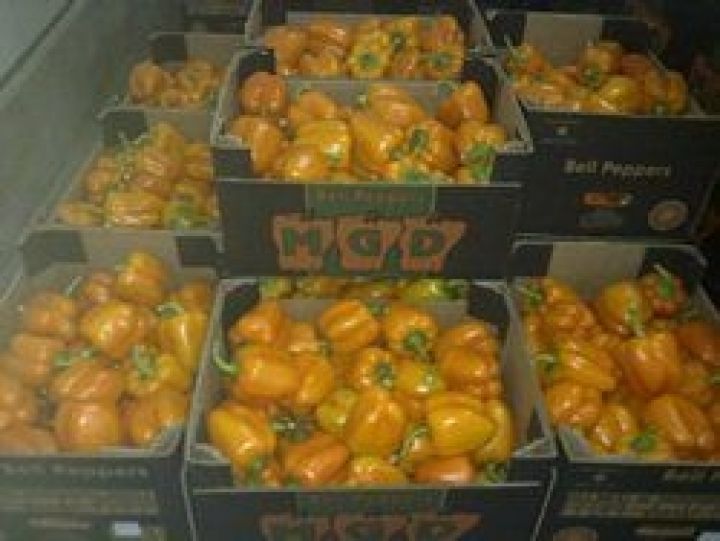 Дания ввела новые правила маркировки овощей и фруктов из Израиля