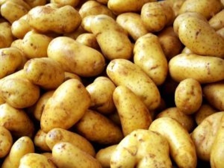 ЕС отменил запрет на ввоз сербского картофеля