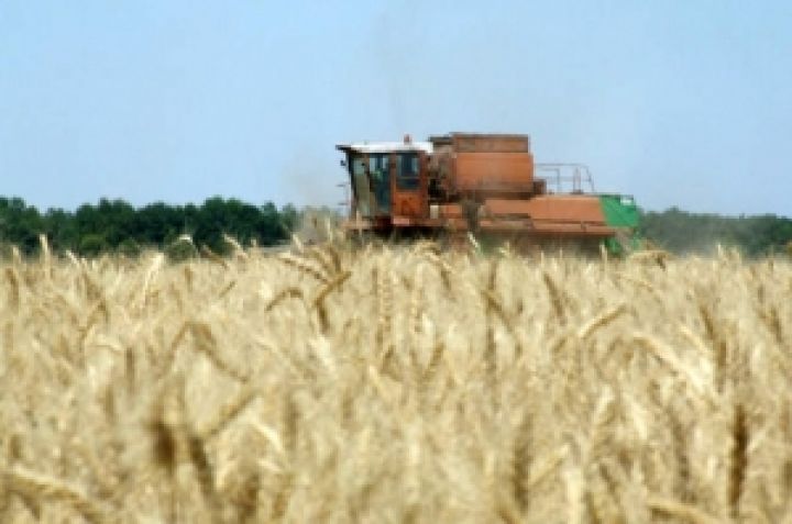 Как аграрный сектор Украины заинтересовал иностранцев