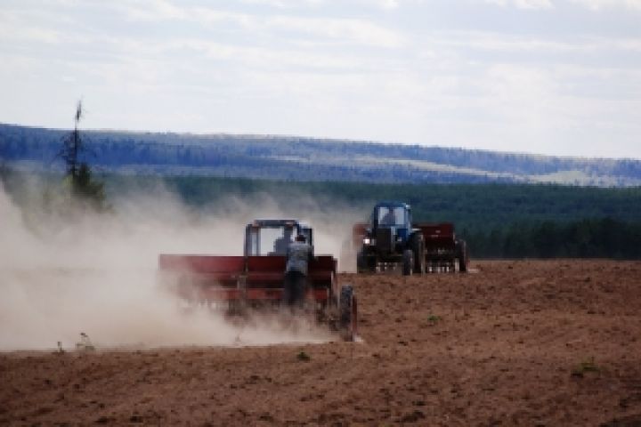В Украине яровыми зерновыми и зернобобовыми засеяно около 9 млн. га