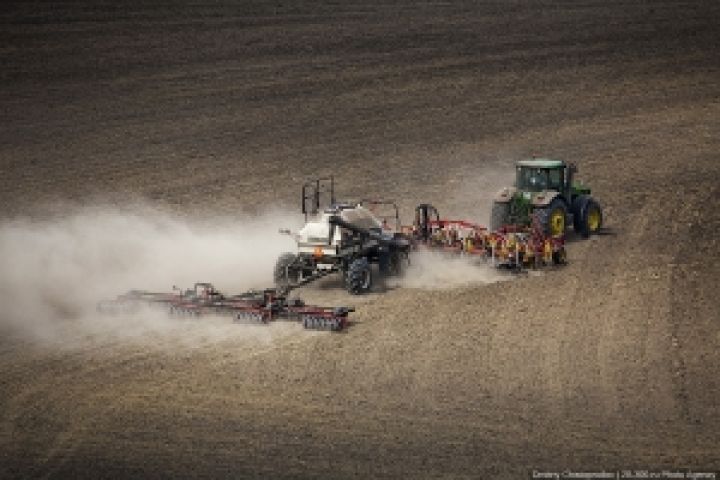 Аргентина начала сев пшеницы нового урожая