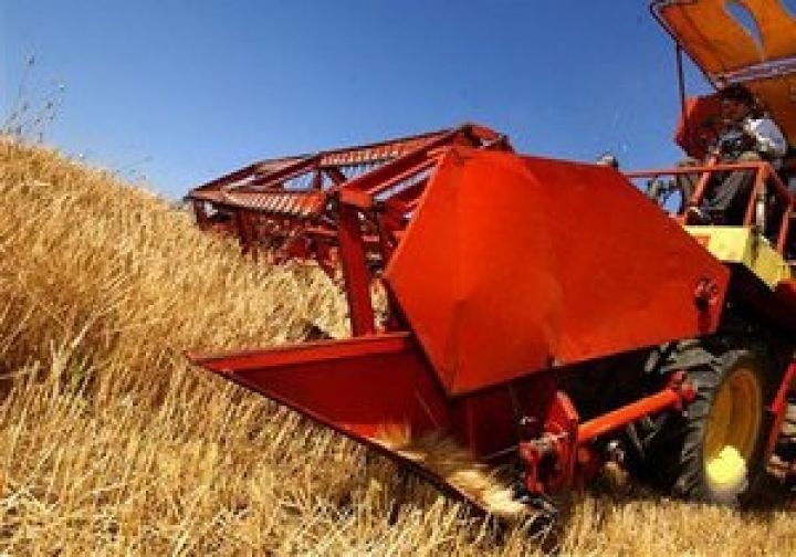 Текущие факторы влияния на рынке зерновых и масличных