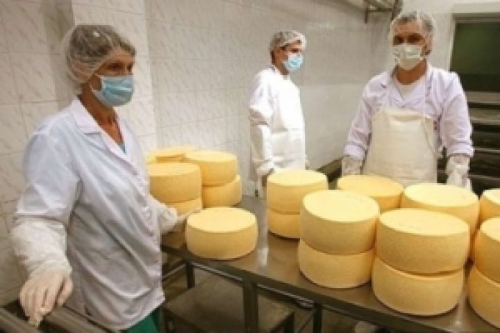 Украинский сыр пустили в Россию, но счастья от этого не будет