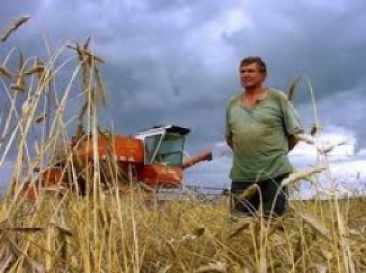 Аграрии России посеяли 29,4 млн га зерновых