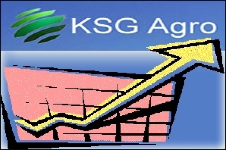 KSG Agro возьмет кредит на сумму 50 млн. грн