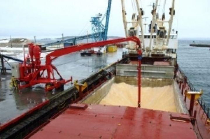 В Украине 97% экспорта зерновых уходит морским транспортом 