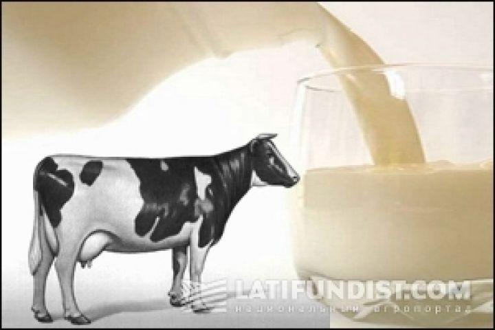 Cеляне будут терять 500 млн. грн. ежегодно при государственном регулировании  цен на молоко — УКАБ