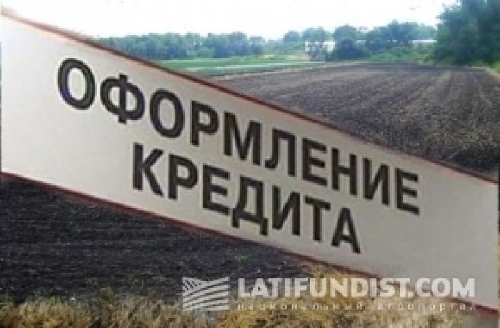 Почти половина аграриев Украины нуждаются в кредитах 