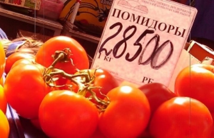 Госветфитослужба обнаружила томатную моль в испанских помидорах