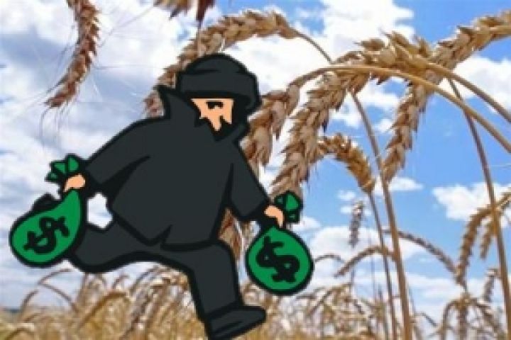 За семь лет из Аграрного фонда украдено 282 тыс. тонн сельхозпродукции