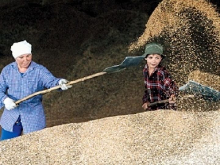 Предприятия Ровенской области готовы к приему зерновых