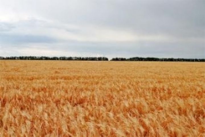 В Украине создан Союз сельхозтоваропроизводителей Юга Украины